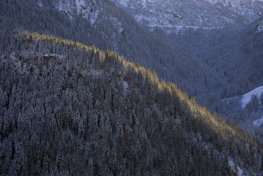 _DSC4008 -2